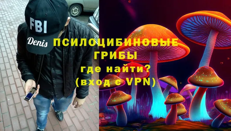 Псилоцибиновые грибы Magic Shrooms  Кашин 